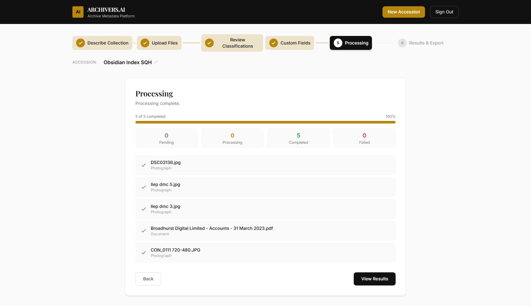 Processing complete screen showing all items at 100% with AI-generated metadata